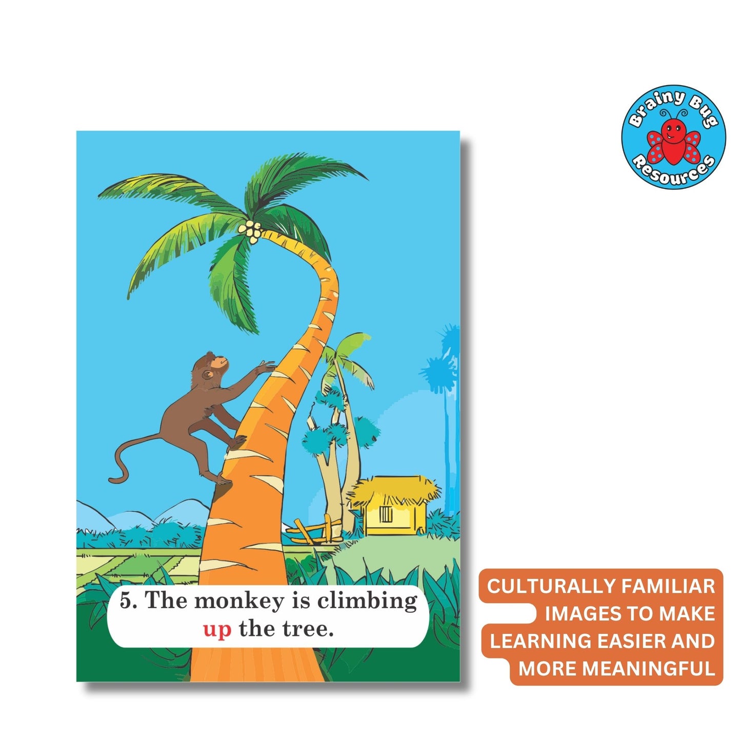Position Words Level 2 – 30 Advanced Preposition Flashcards, Ages 4+ | Brainy Bug Resources