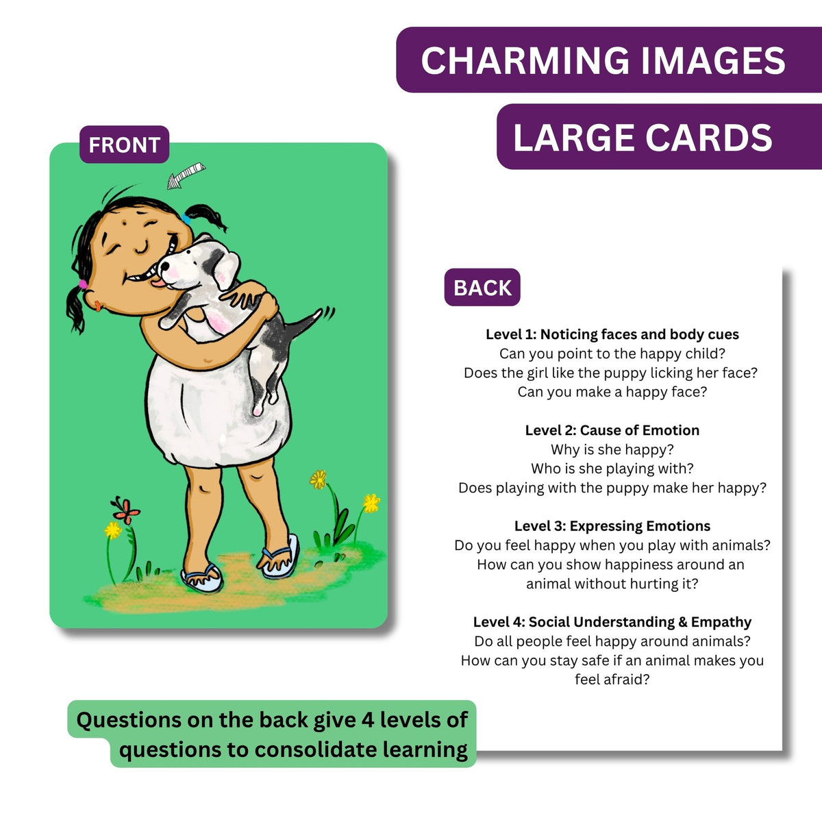 Emotions Level 1 Feelings Cards for Kids