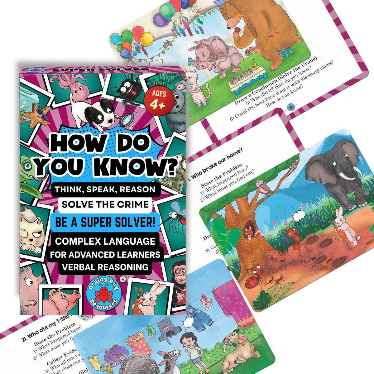 Super Solver 1: How Do You Know? verbal reasoning cards: box with sample cards